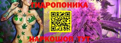 каннабис Кунгур