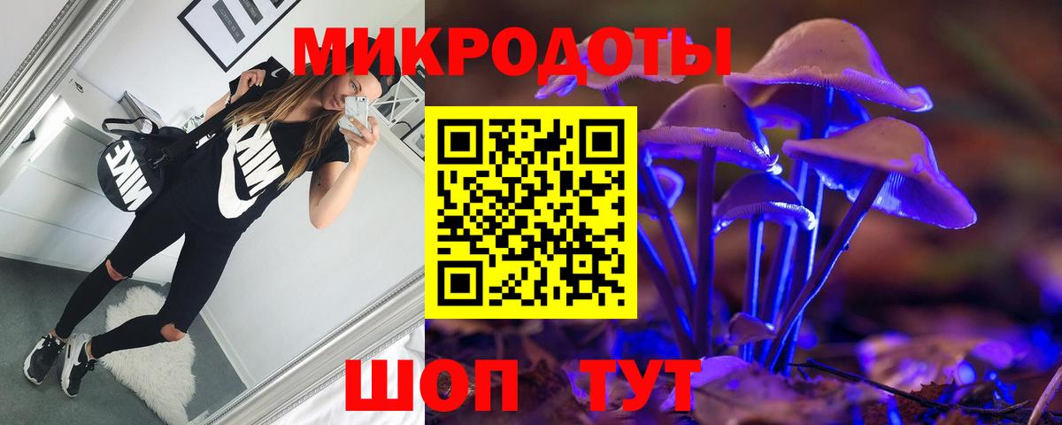 Галлюциногенные грибы Psilocybine cubensis  Вход с VPN  Вичуга 